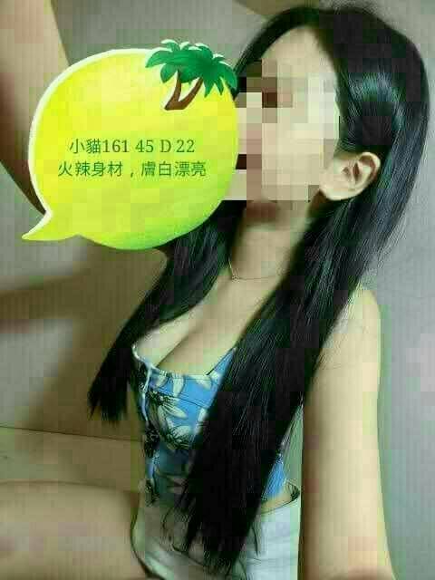 苗栗 梓雲 24/36D